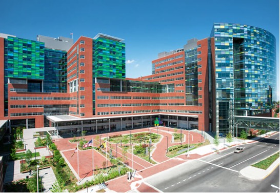 The Johns Hopkins Brady Urological Institute